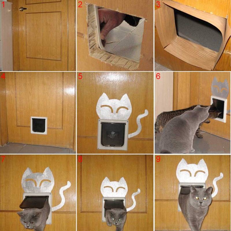 Дверца для кошки: разновидности и особенности выбора дверей, самостоятельное изготовление аксессуара, отзывы владельцев
