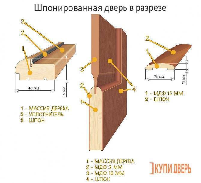 Двери из экошпона — плюсы и минусы покупки