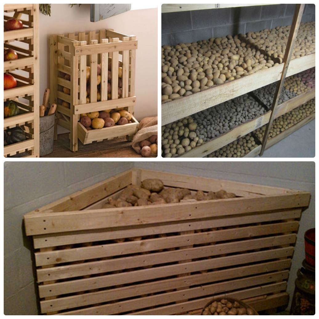 Особенности хранения картошки в гараже без погреба