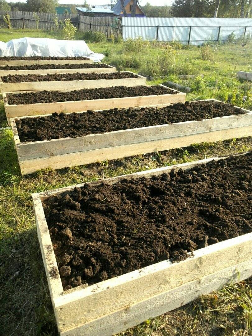 Как сделать теплую грядку весной пошагово, плюсы и минусы
