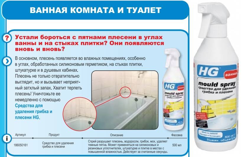 Как избавиться от плесени в гараже: эффективные советы