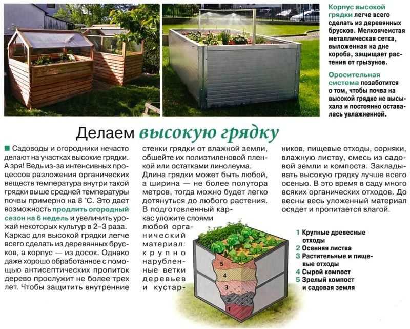 Как сделать теплую грядку своими руками