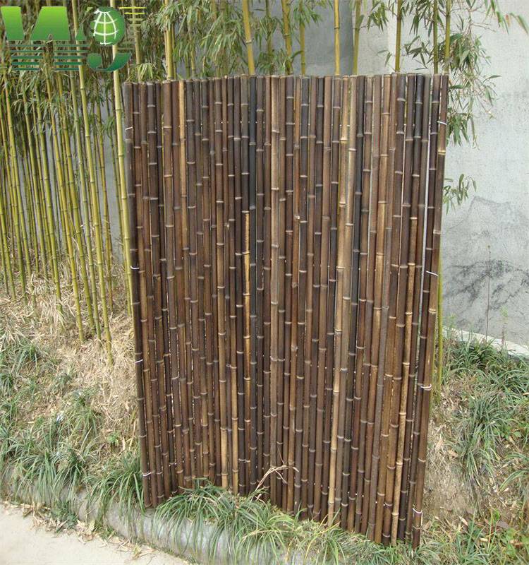 Выращивание бамбука