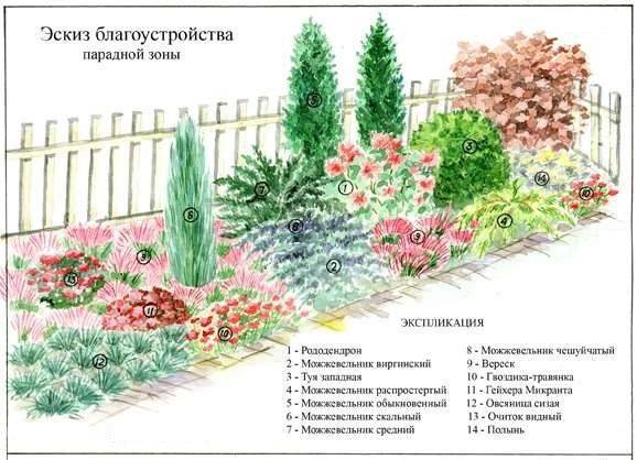 Схемы красивых клумб непрерывного цветения из многолетников