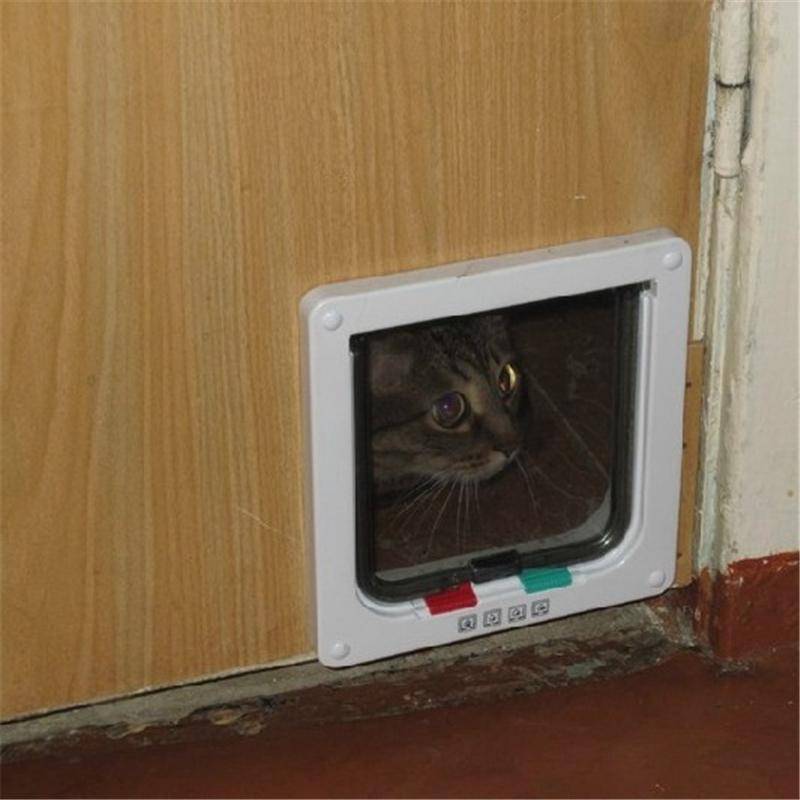 Лаз для кошки в дверь – котоход