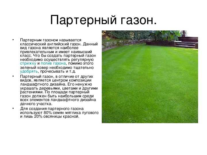 Спортивный газон