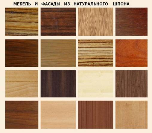 Шпон и шпонированные двери