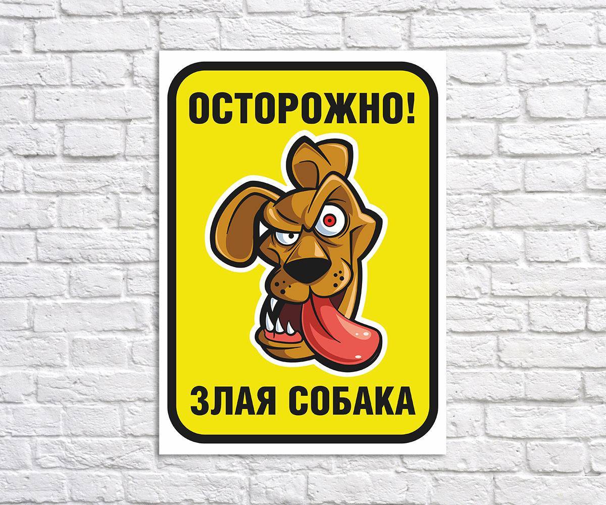 Самые креативные идеи для адресной таблички на дом