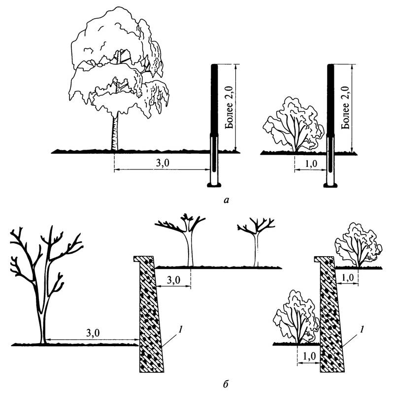 Схема посадки деревьев и кустарников