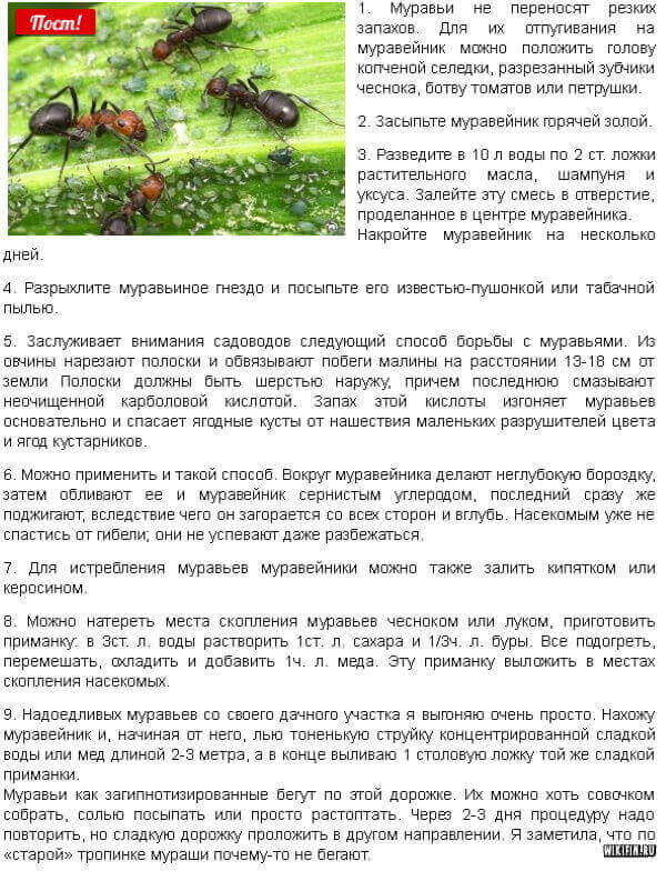  ребята, вас крысы не беспокоят?