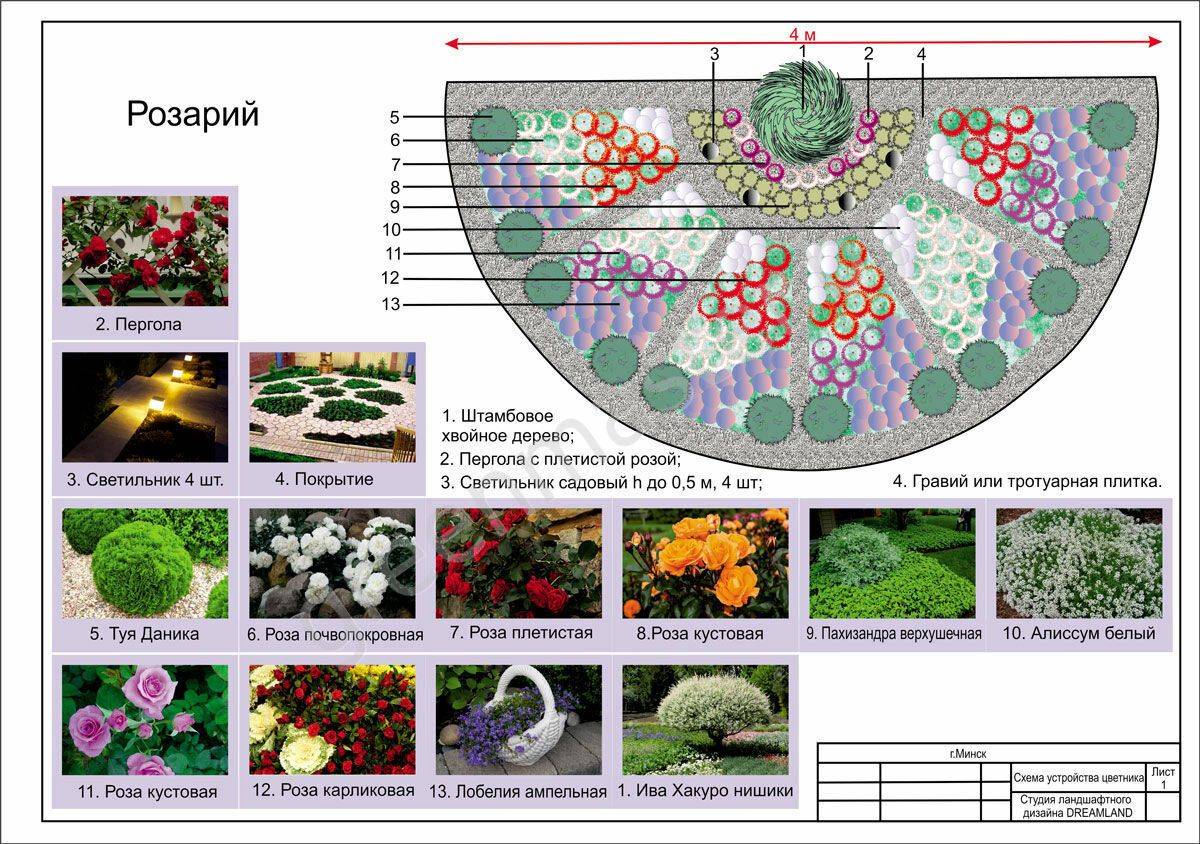 Подбор растений для создания миксбордеров своими руками: фото, готовые схемы, советы, видео