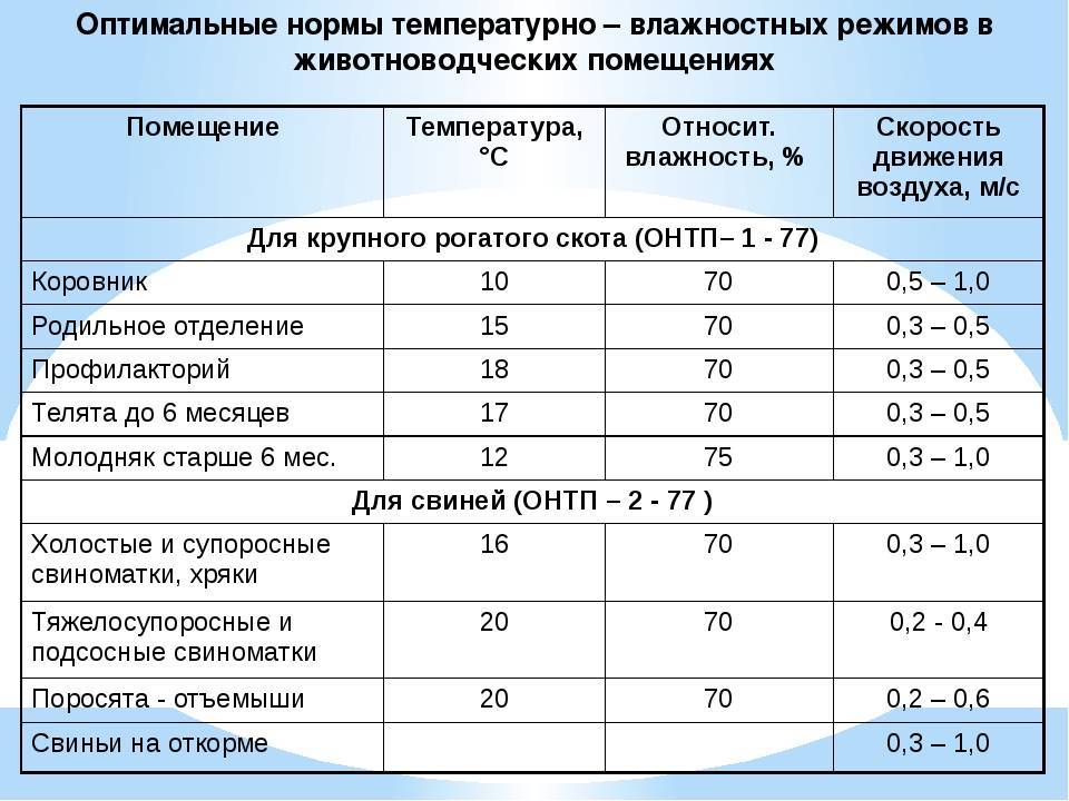 Готовим гараж к зиме: как ворота помогают сберечь тепло