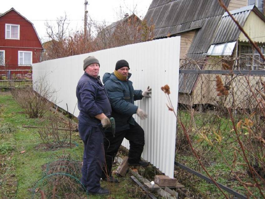 "владей легко": что делать, если соседи передвинули забор и держат на даче скот?  | саратов 24