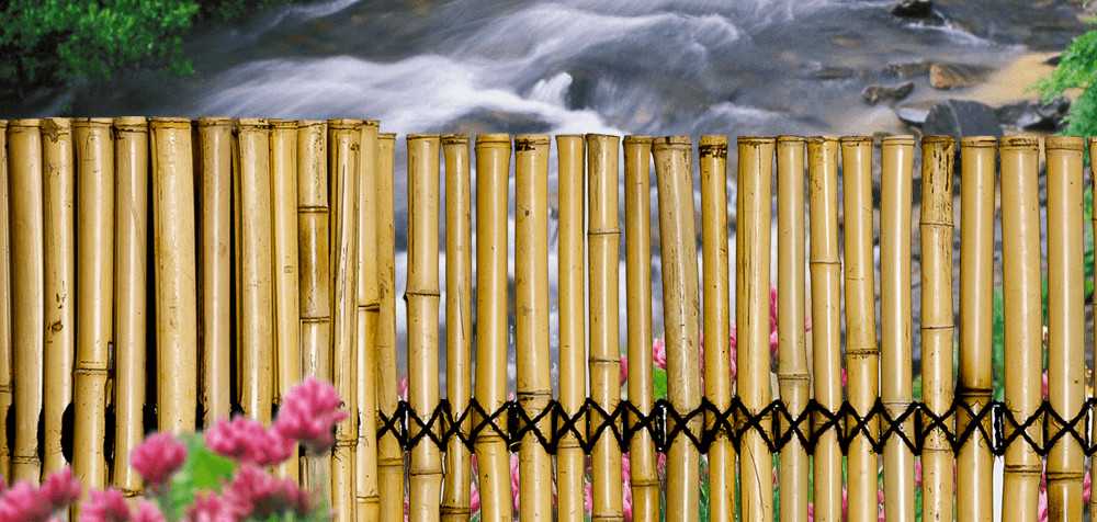 Забор из бамбука - разновидности, преимущества