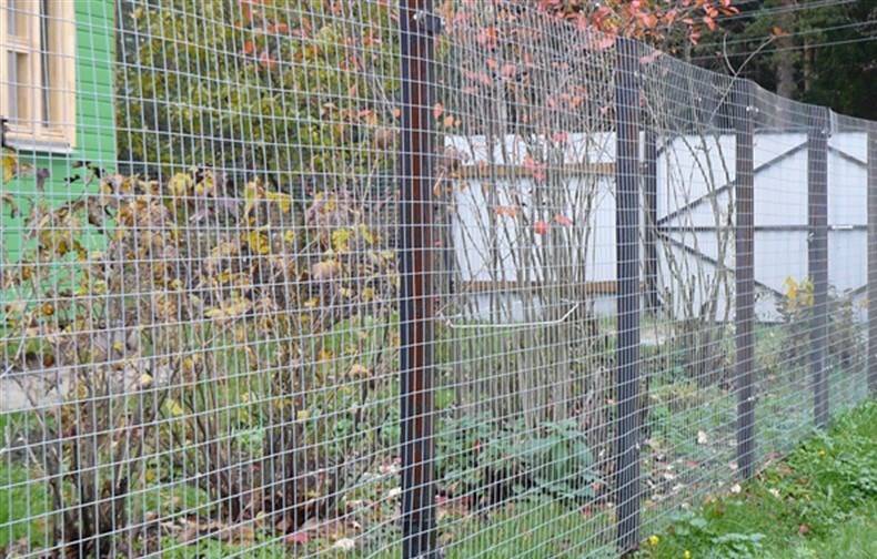 Заборы из сетки гиттер, заборы из сетки рабицы. фото вариантов
