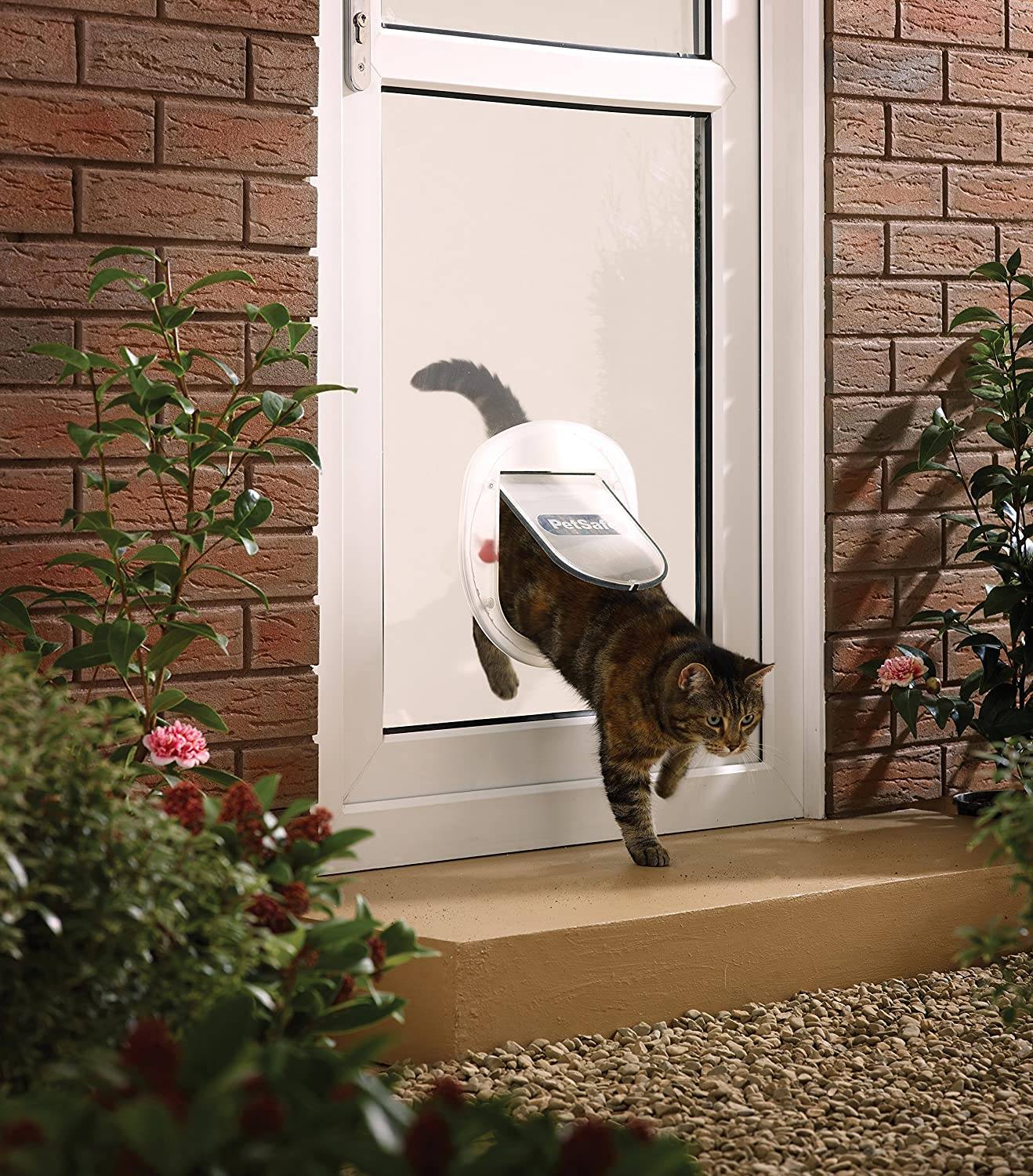 Дверца для кошек в дверь, как сделать своими руками ( врезная, люк, лаз).