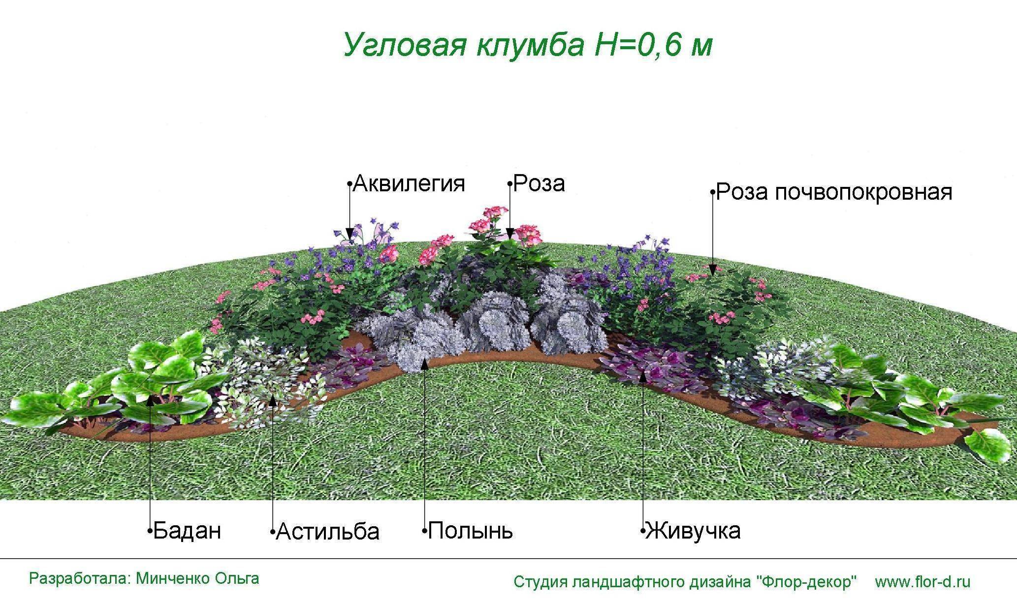 Как сделать клумбу из многолетников, чтобы цвела все лето