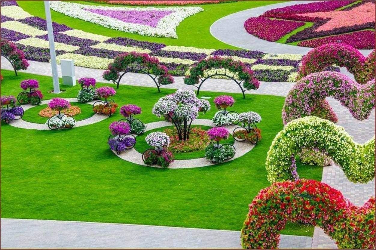 Видео сада с цветами. Флауэрс Гарден парк. Гарден парк Дубай. Арабеска клумба. Клумба Цветочная Дубай.