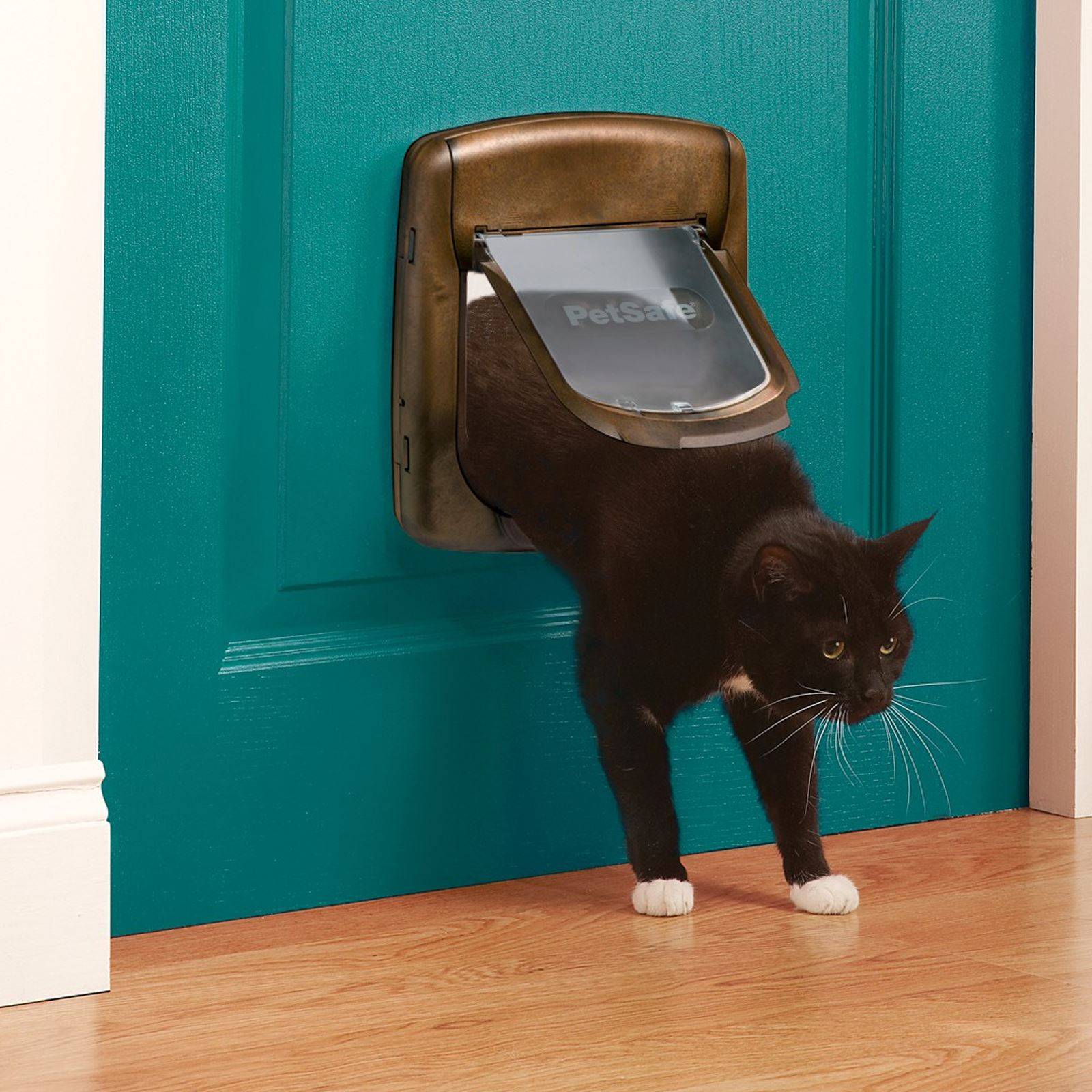 Модели дверцы для кошек во входную и туалетную дверь