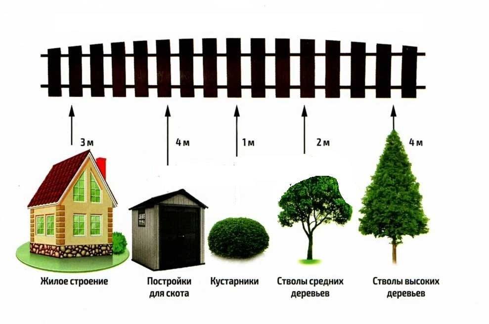 На каком расстоянии от многоквартирного и частного дома сажать деревья: нормы снип и санпин в 2021 году