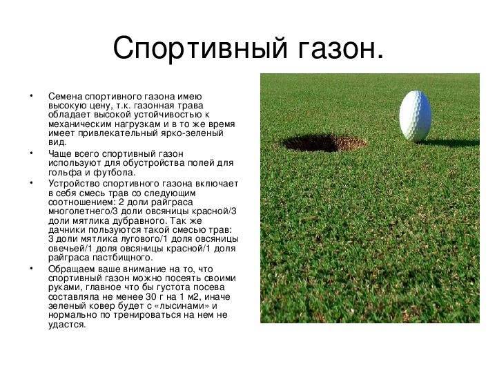 10 лучших видов газонной травы: названия и описания, с фото и рекомендациями