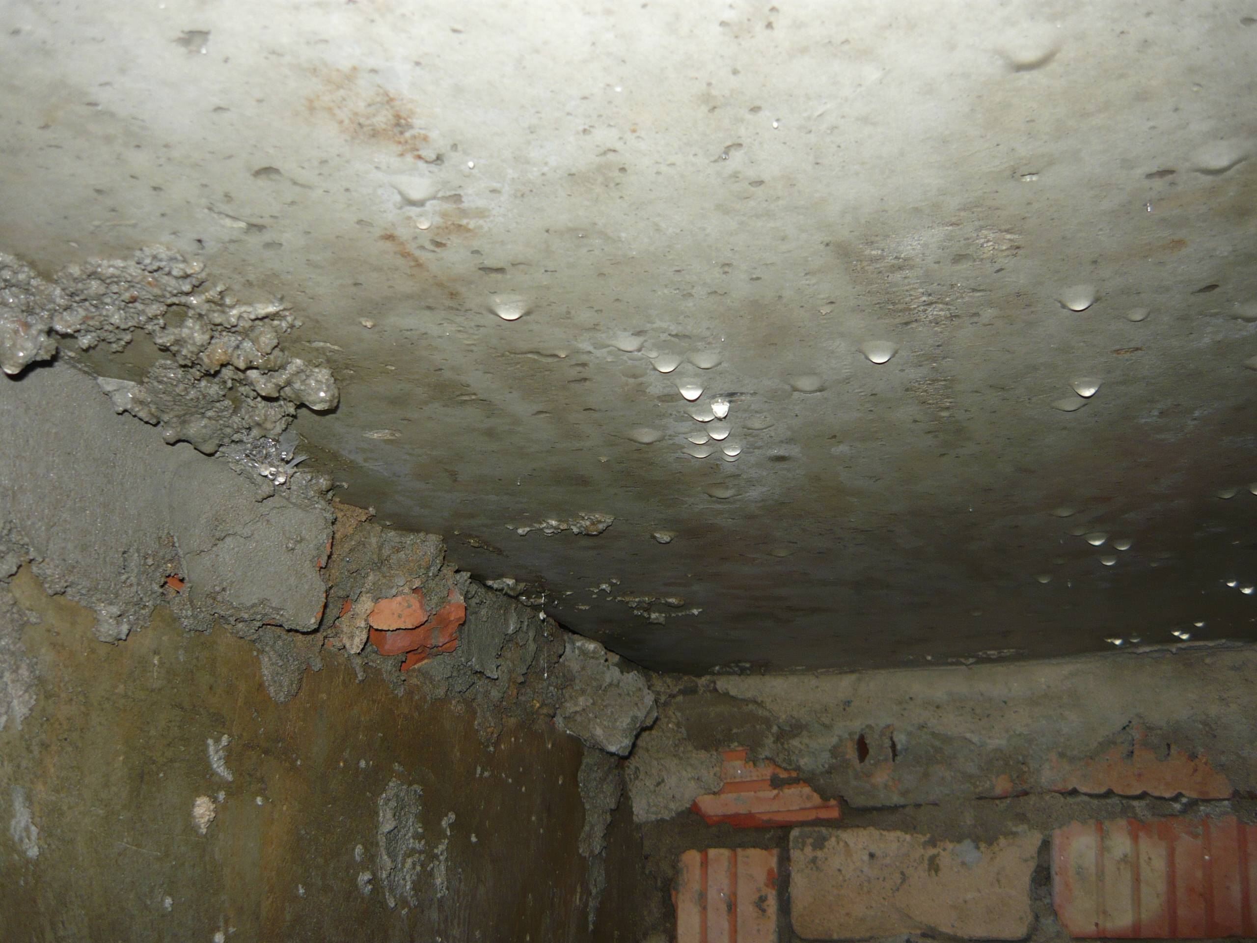 Почему в погребе конденсат и мокрый потолок: причины повышенной влажности