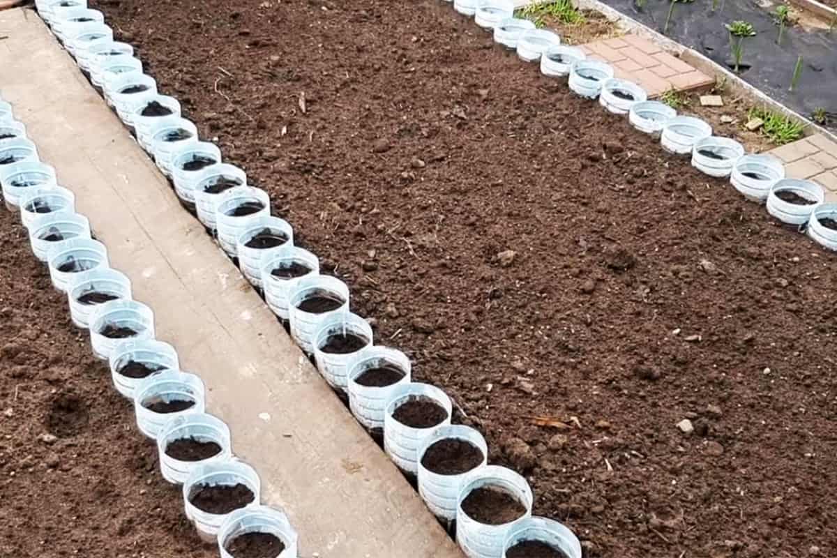 Пластиковые грядки: как сделать красивые садовые ограждения из обычной пластмассы