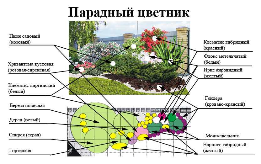 Красивые клумбы на даче из многолетников своими руками: фото