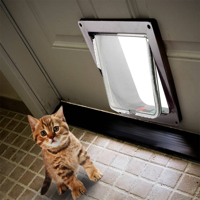Модели дверцы для кошек во входную и туалетную дверь. дверь для кошки — пошаговая инструкция по выбору, монтажу и изготовлению дверцы своими руками