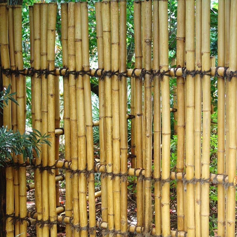 Заборы из бамбука и тростника