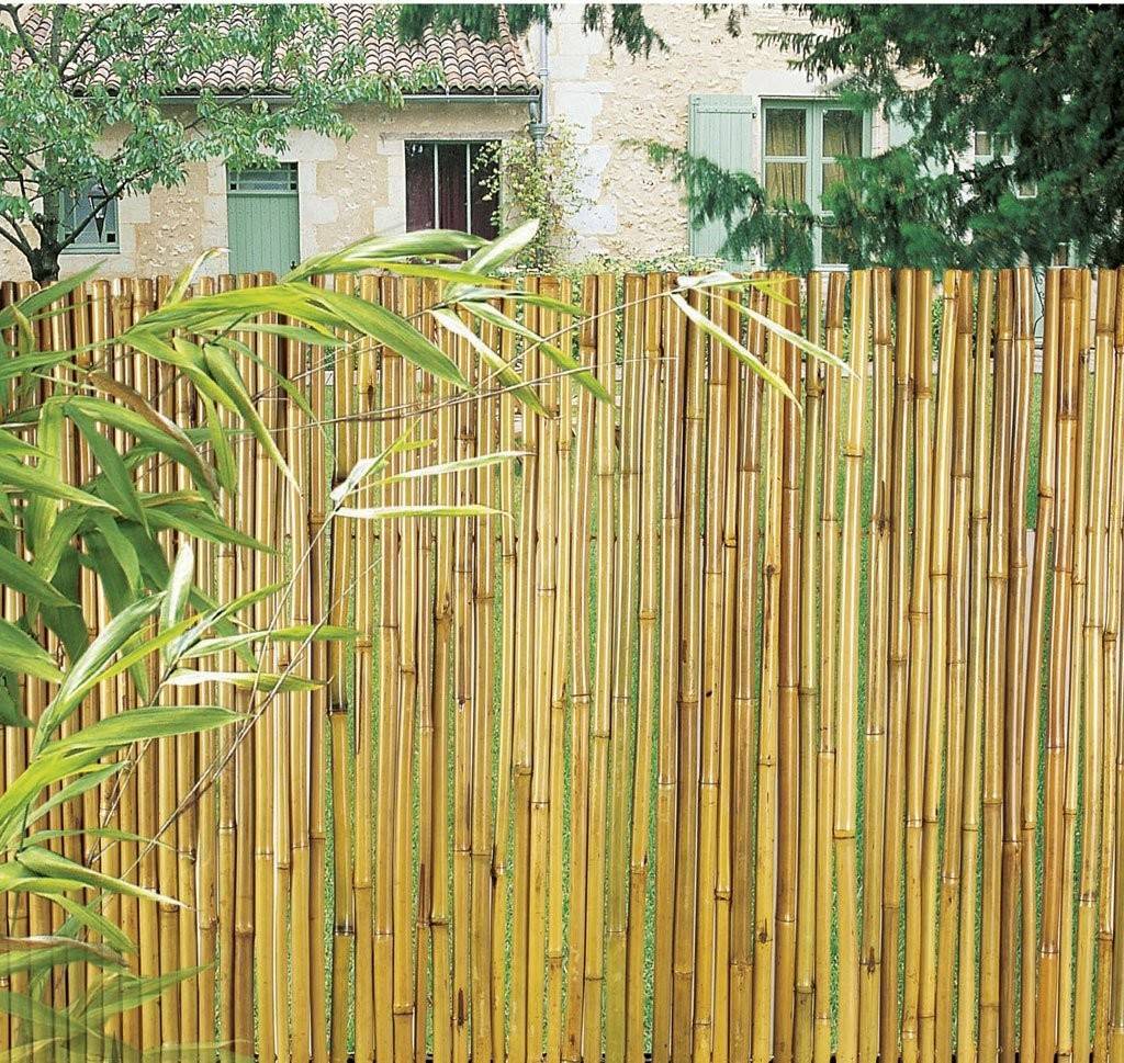 Бамбуковый забор для дачи – преимущества, виды, фото