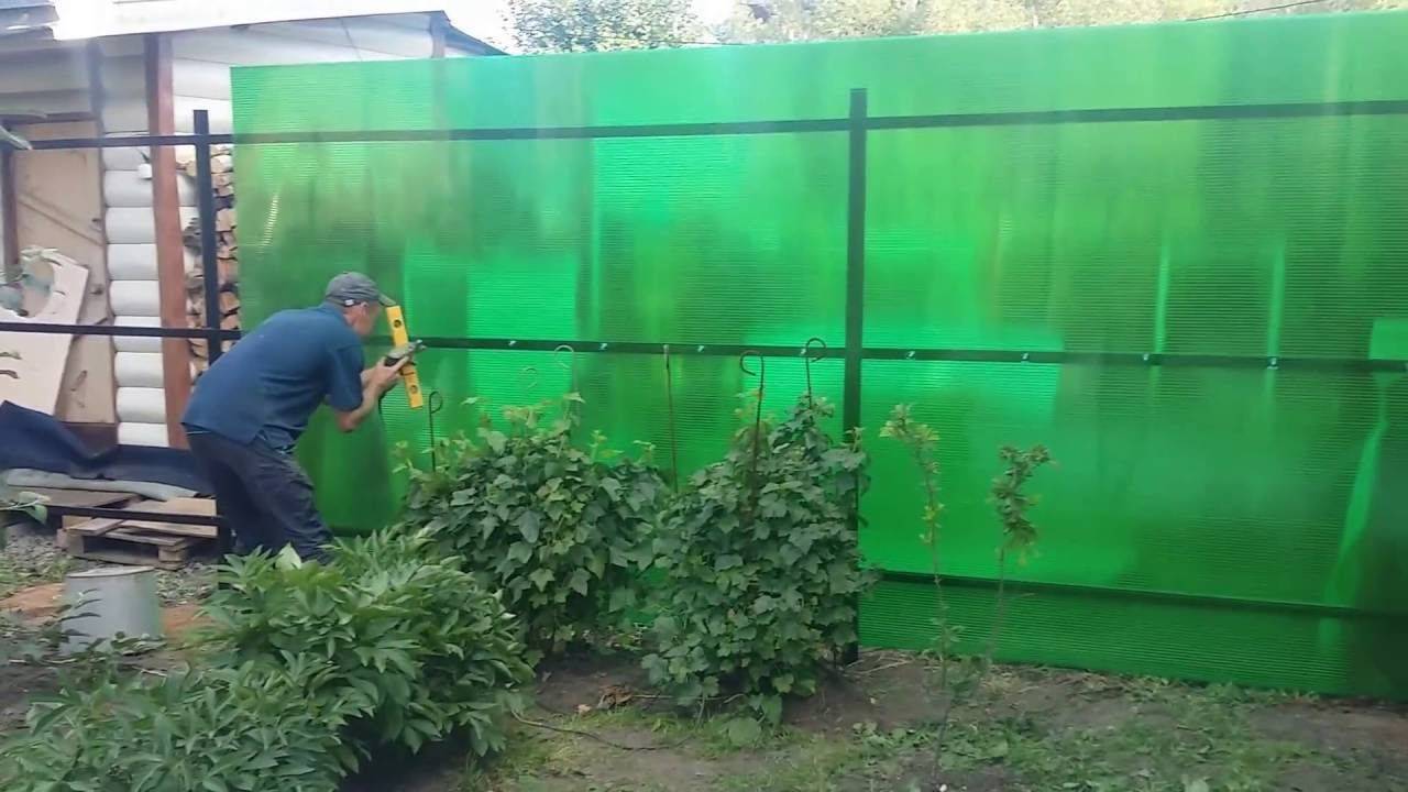 Забор из поликарбоната своими руками - инструкция по строительству!