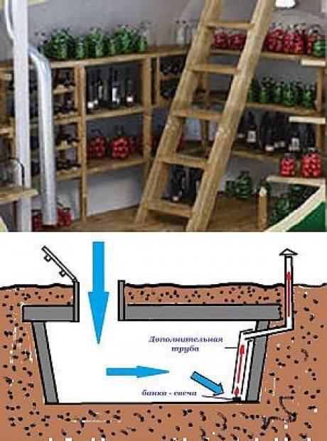 Сырость в подвале гаража: как сделать сухим подвал и убрать плесень