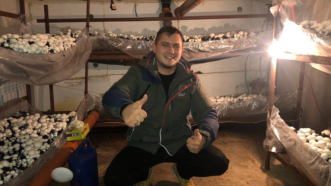 Чем можно заняться зимой в гараже