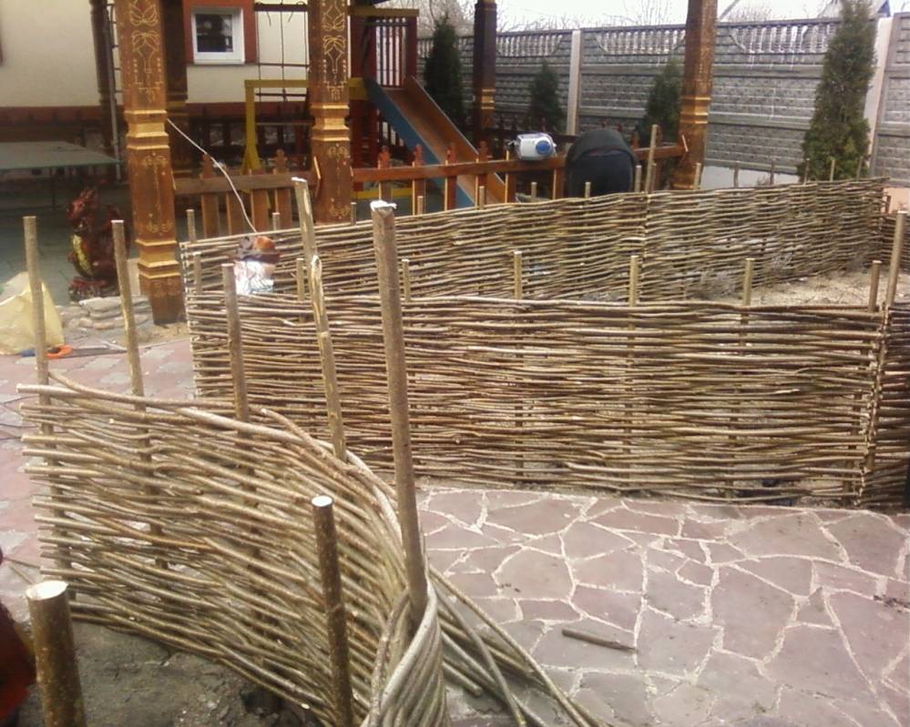 Ивы не только плачут! сажаем живую изгородь или плетем забор на любой вкус!
