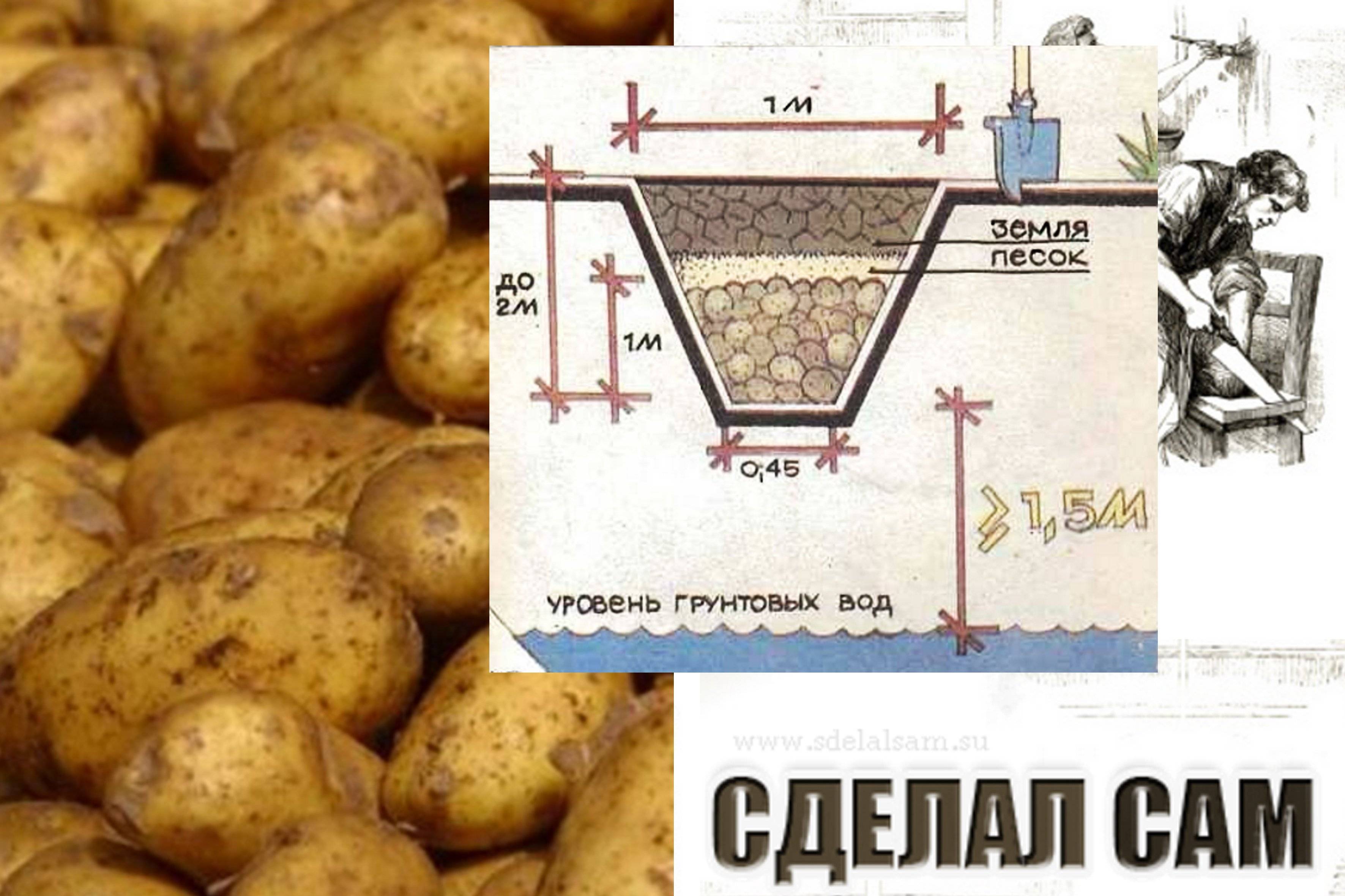 Хранение картошки в гараже без погреба: как правильно сохранить без подвала зимой в холодной яме, как и в чем лучше лежать картофелю